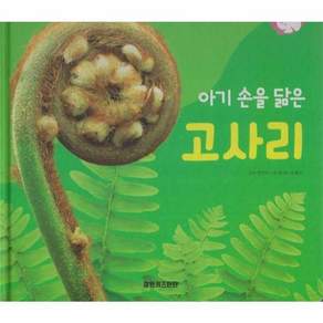 이노플리아 아기손을 닮은 고사리 - 식물과 식생활 - 플러스업 자연속으로 양장