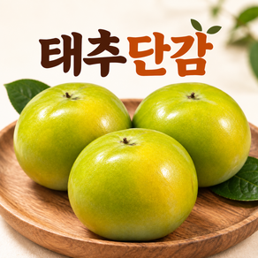 국내산 태추단감 산지직송 아삭달콤
