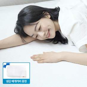 (+화이트 냉감커버 증정) 슬립앤슬립 아이스넷 여름 냉감패드+홑이불 침구 세트