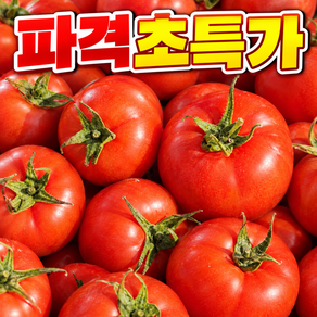[SNS대란주문폭주] 국내산 산지직송 완숙토마토 찰토마토