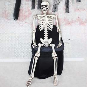 스투피드 대형 전신 리얼 해골 모형