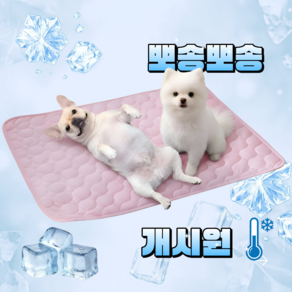 지티오비 강아지 쿨방석 냉감매트 애견 반려견 쿨링매트