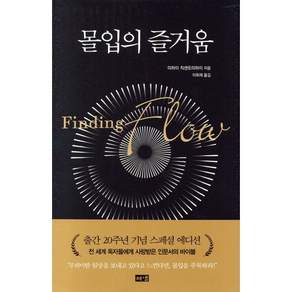 몰입의 즐거움