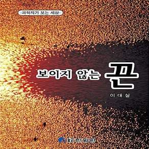 NSB9788995946336 새책-스테이책터 [보이지 않는 끈]-과학자가 보는 세상--한림원-이대실 지음-기초과학/교양과학-20080324 출간-판형