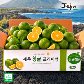 [청귤청/에이드용] 제주 고당도 청귤 풋귤