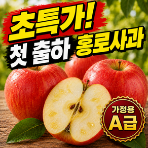 [역대급 할인] 첫 출하 26년 햇 홍로사과 산지직송