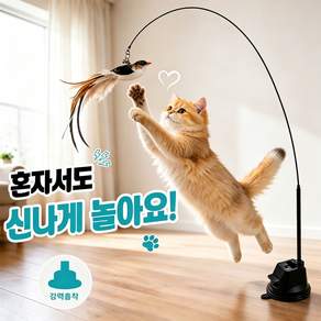 벨살 고양이 낚시대 새 장난감 고정 튼튼 낚시대 사냥놀이 세트