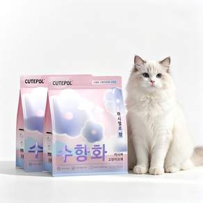 CUTEPOL 카사바 모래 캣 리터 먼지없는 응고형 고양이모래 극세입자