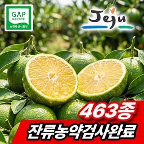 [제주농가직송] 제주 청귤 프리미엄 로얄과 풋귤 청귤청용 [카리스라이프]