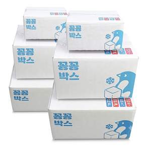 꽁꽁박스 이중골