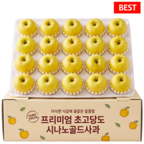 15brix 고당도 시나노골드 사과 정품