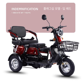 리코안 세발 전동 스쿠터 전기 자전거 어른신 전동차 짐받이 캐노피