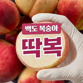 [특급선별] 딱딱이 복숭아 제철 과일 고당도 딱복