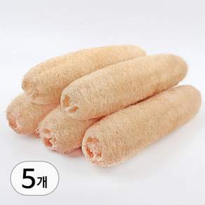 투데이리빙 5개 세트 천연 식물 수세미 주방 설거지 잘라쓰는