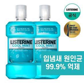 리스테린 쿨민트 구강청정제
