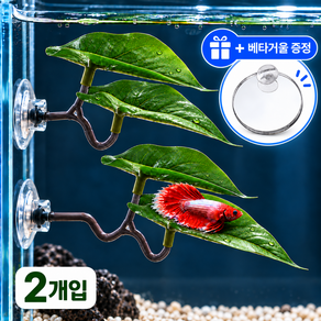 리프핀 베타침대 리프 해먹 백업 인조 수초 쉼터