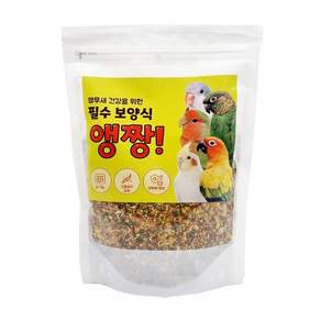 앵무새 필수 보양식 앵짱