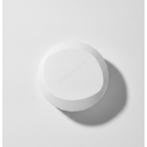 정샘물 프로래스팅 결핏 메쉬 쿠션 14g