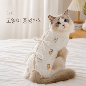 융풍 토끼 당근 패턴 고양이 중성화복 수술 후 환묘복 부드러운 리본 케어웨어