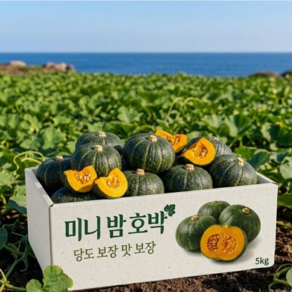 [하루50박스특가] 고당도보장 보우짱 미니밤호박 단호박