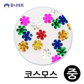WISHPICK 5000 스팡클 코스모스 중 통 아동만들기