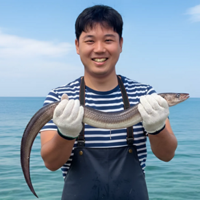 [산지직송] 통영 자연산 손질 바다 장어 특대 소스2종 초생강