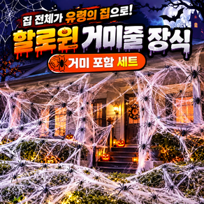 (당일배송) KDKlab 할로윈 거미줄 장식 / KDKS253
