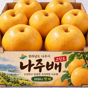 26년 초고당도 햇 나주 배