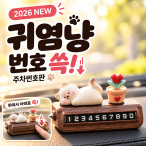 몽카 고양이 자동차 주차 번호판