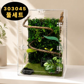 필핏 크레스티드 게코 대형 사육장 도마뱀 파충류 은신처 303045 세트
