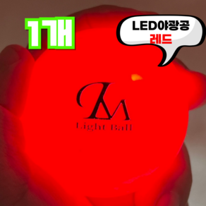 렌스메이트 야광 LED 파크골프공 형광 파크공 파크볼