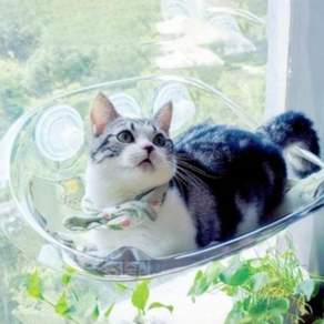 창문해먹 고양이 투명 캣타워 냥이 낮잠 휴식 숨숨집 79000EA 1EA