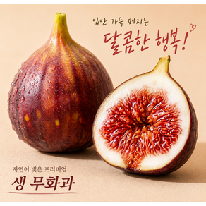 [제철한정초특가] 농장직송 꿀당도보장 영암 무화과 홍무화과