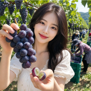 [2주한정] 당일수확 꿀당도 산지직송 햇 캠벨포도