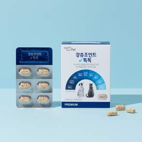 바른뉴트리펫 강츄조인트 톡톡 강아지 관절 영양제 슬개골 연골 노견 고양이 60정