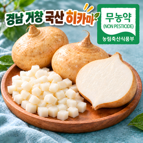 산지직송 국산 무농약 경남거창 멕시코감자 히카마