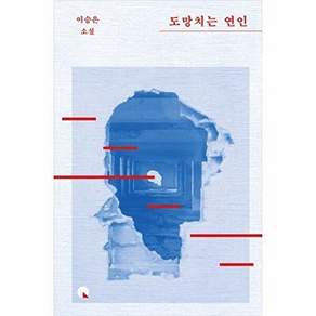 창비 도망치는 연인 - 소설Q (양장)