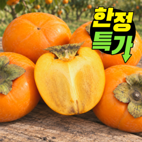 [100박스한정] 아삭달콤 꿀당도 햇 단감