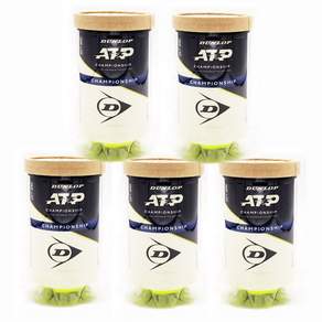 던롭 챔피언십 ATP 시합 테니스공 2p