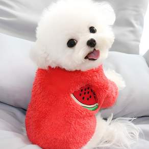 딩동펫 반려동물 극세사 후리스 과일 티셔츠