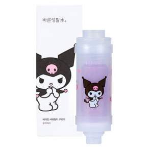 바른생활수 산리오캐릭터즈 비타민 샤워필터