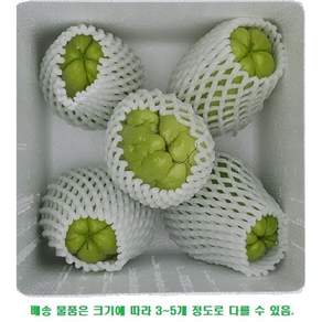 정선 햇 차요테 1Kg
