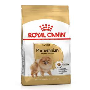로얄캐닌 포메라니안 어덜트 1.5kg + 말랑 덴탈츄 1개 증정 피모 피부 장 관절건강