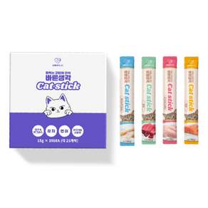 바른생각 고양이 스틱 100p