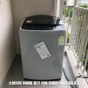 LG전자 통돌이 세탁기 T17DX3A 17KG