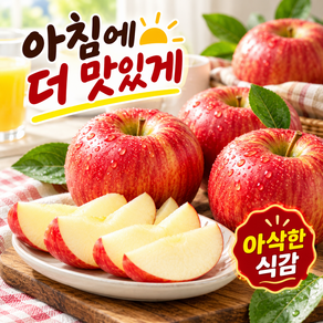 [가성비특가] 당도선별 국내산 부사 사과