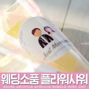 스투피드 셀프웨딩 프로포즈 모음