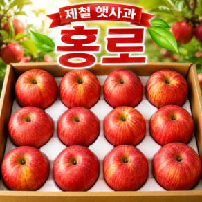 [재구매추천1위] 제철햇사과 아삭달콤 고당도 A급가정용 홍로사과