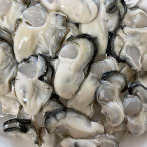 당일조업 일등푸드 제철 통영 산지 햇 생굴 1kg 중소 버블세척 굴(평일 오후 4시 이전 주문시 당일발송)