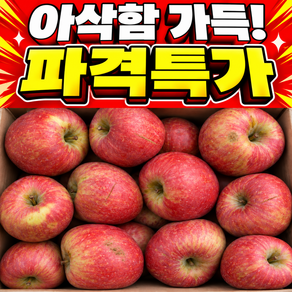 [하루100박스한정] 쥬스용 사과 못난이 꿀사과 산지직송